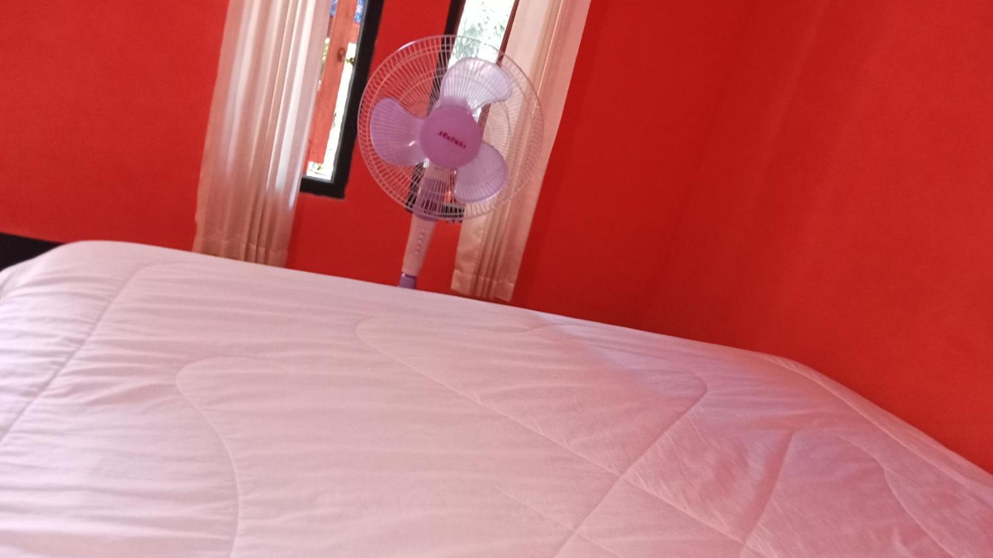 Kuta  Roy Homestay Kuta מראה חיצוני תמונה